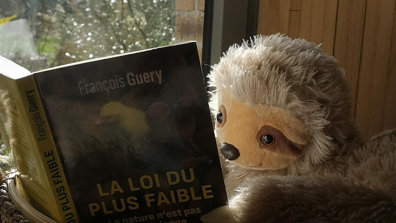 Entretiens et Jardins